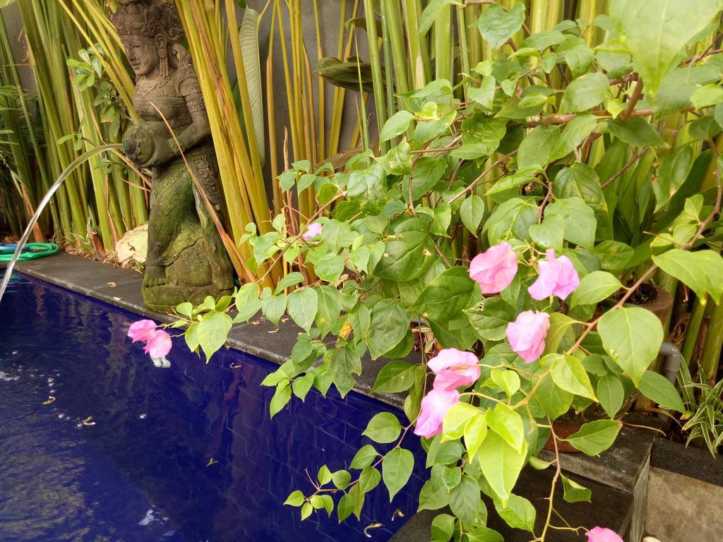 Villa Esa Ubud Ngoại thất bức ảnh